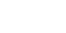 logo MDS_T-03-2